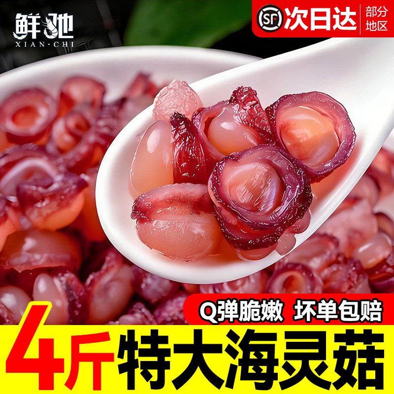 顺丰！延边啤酒菜辣炒海灵菇特大
