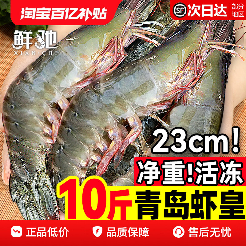 ��Ϻ�ʻ��ش�Ż�ΧϺ�ൺ�������ʶ�Ϻ��Ϻˮ�������ٶ��䶳���� 50.6Ԫ