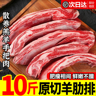 原切羊肋排新鲜羊排烧烤内蒙散养羔羊小腿清真带骨手把羊肉羊蝎子