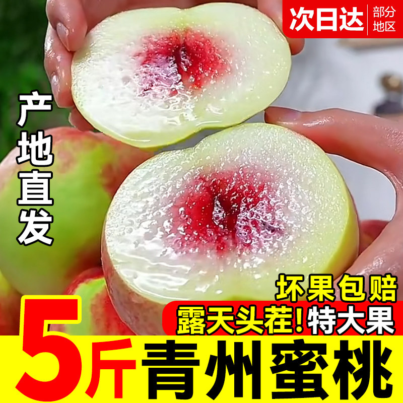 新鲜冬桃青州蜜桃5斤!百万复购