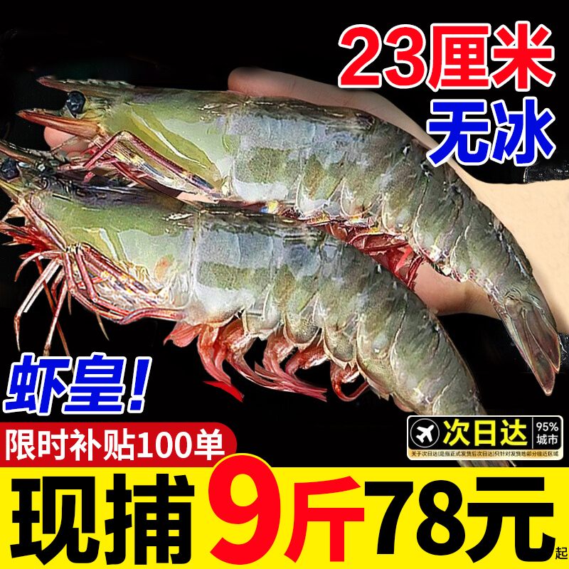 大虾20/30批发价补贴100单