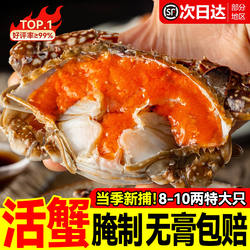 舟山红膏呛蟹整只酱母蟹宁波炝蟹梭子蟹咸蟹生腌螃蟹海鲜醉蟹即食