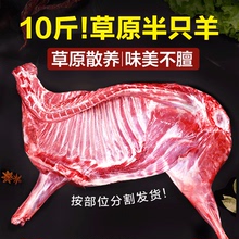 羊肉新鲜现杀烤全羊整只滩羊内蒙古羊排10斤羊腿生羊蝎子生鲜批发