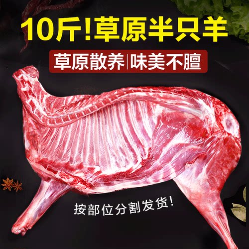 内蒙羊肉新鲜滩羊肉羊排10斤