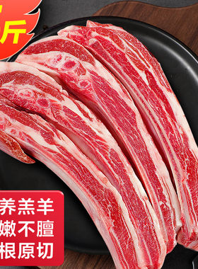鲜驰原切羊肋排新鲜精选羔羊散养生羊排带骨羊肉新鲜冷冻2.5-5斤