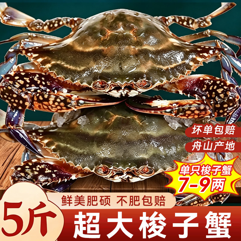 不肥包赔!舟山特大梭子蟹!
