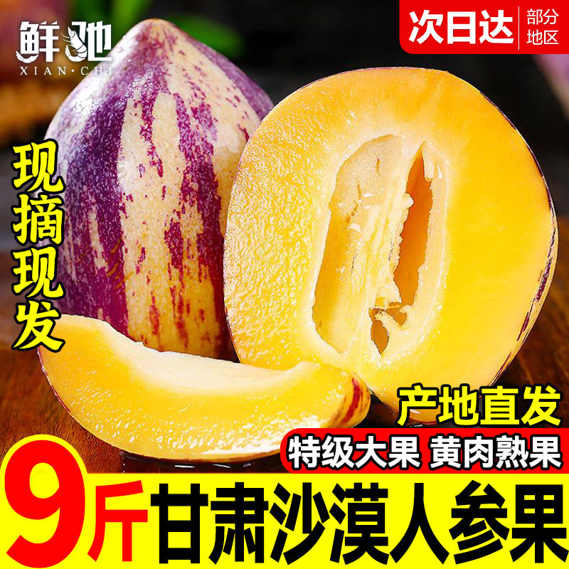 正宗甘肃沙漠人参果头茬果新鲜现摘民勤产地直发应季当季水果整箱