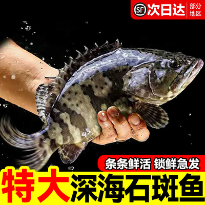 年货必备海鲜水产！！！