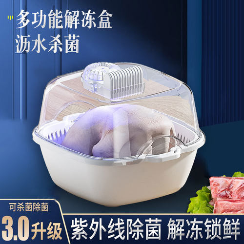 解冻快速解冻器家用食品保鲜化冻机智能恒温冻肉类快速解冻机
