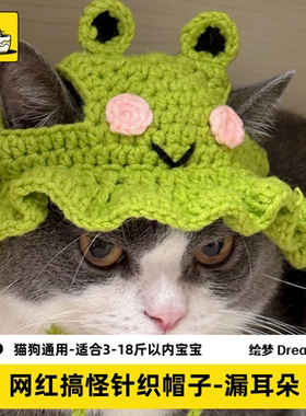 秋冬季猫咪狗狗搞笑可爱的帽子