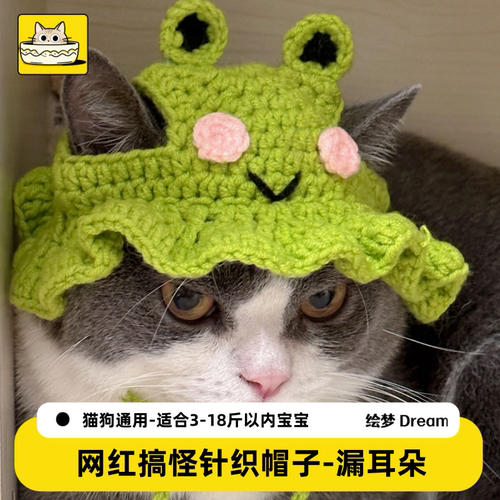 秋冬季猫咪狗狗搞笑可爱的帽子