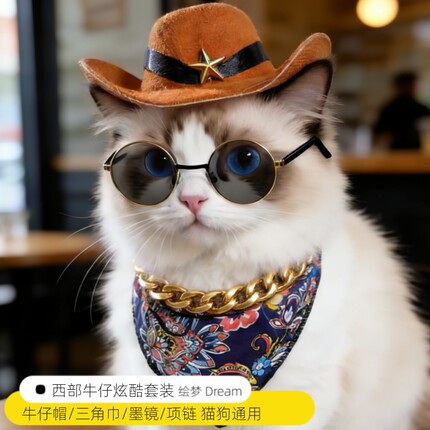 猫咪狗狗西部牛仔帽子中型犬宠物帽子配饰小狗头饰围脖网红猫拍照
