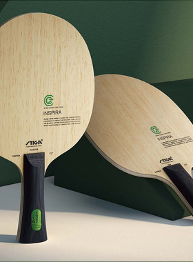 Stiga斯帝卡乒乓球拍灵感碳素底板斯蒂卡绿标专业进攻INSPIRA CCF