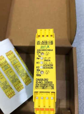 议价DINA继电器DNSR-2R2 NO:33SR20
