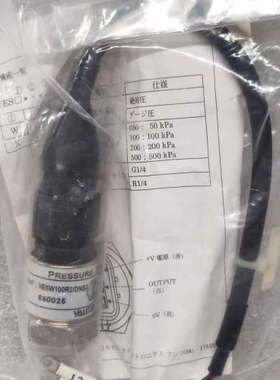 VALCOM 真空传感器 VESW100R2/DNS3