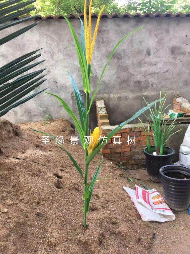 仿真玉米人造假玉米树摄影道具田园装饰菜园景区装饰绿色拍摄道具