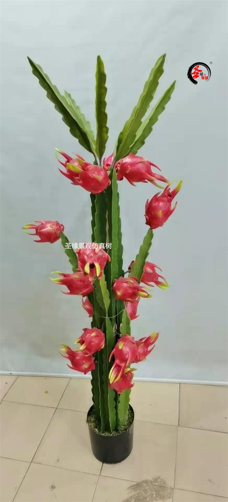 仿真火龙果树餐厅酒店超市水果店农庄农家乐舞台拍摄道具落地盆栽