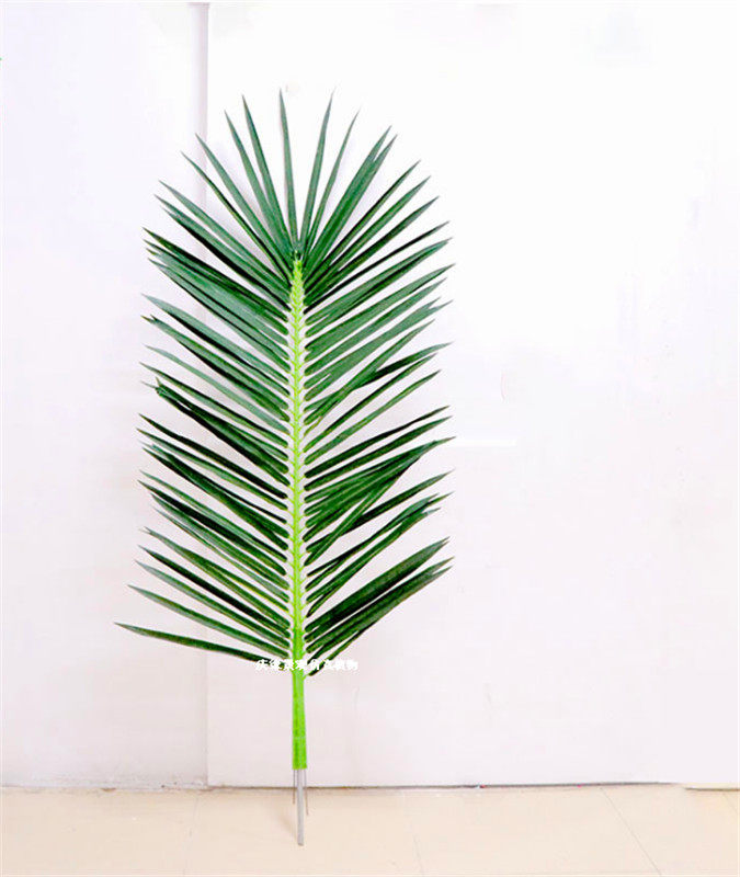 仿真散尾叶椰子叶热带仿真植物叶塑料叶子室内外过胶树叶拍摄道具