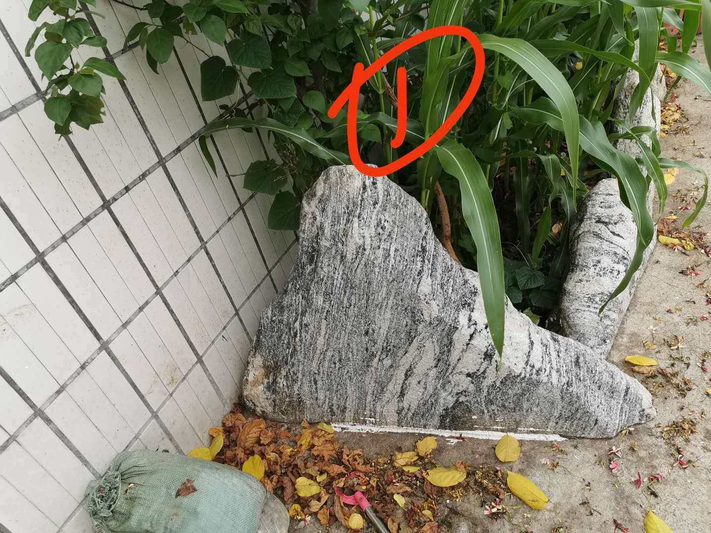 仿真波浪石人造假波浪石 工程造景装饰波浪石