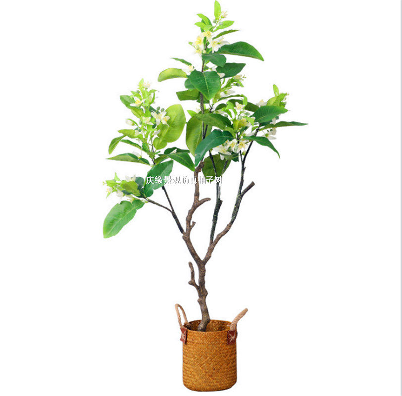 中式仿真柚子树盆景人造假盆景 院子装饰仿真柚子树盆景