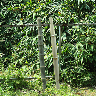 传统手工制作楠竹扁担加厚加长挑水家用建筑工地扁担挑水不费力气