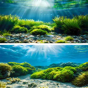 新款 饰尺寸定制 鱼缸背景画背景贴水中绿植缸外贴3D高清装