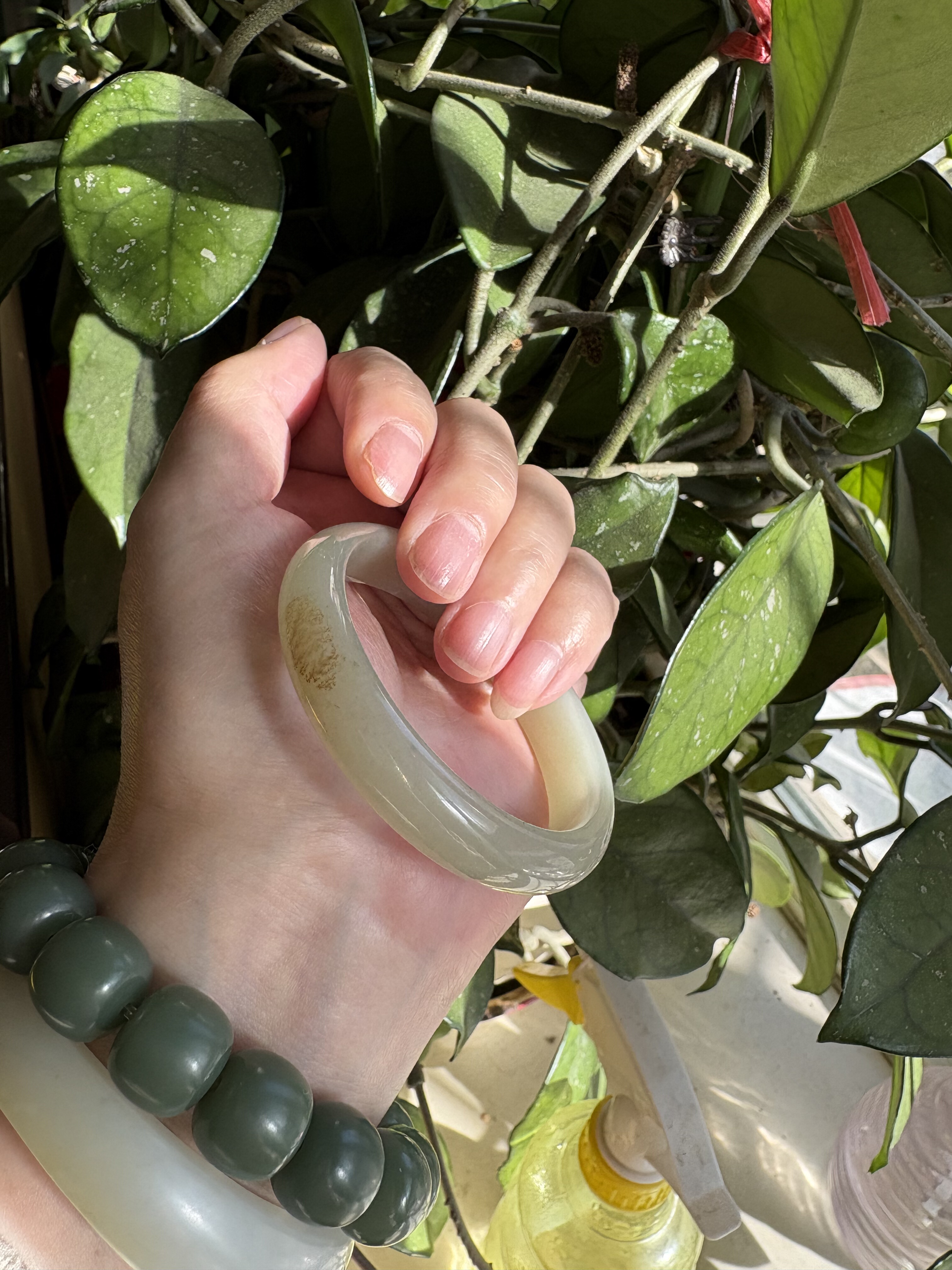 新疆且末料糖青白手镯53.5