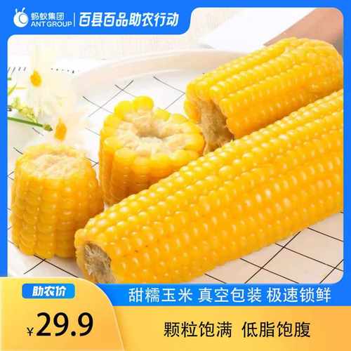 乌兰察布甜糯玉米|真空锁鲜