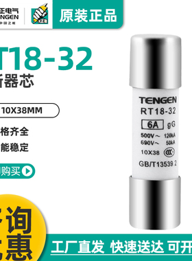 TENGEN天正 保险丝 RT18-32熔断器熔芯 RT14芯子 R015 RO15 10*38