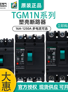 天正电气空气开关TGM1N 3300 63A125A250A400A630A塑壳断路器