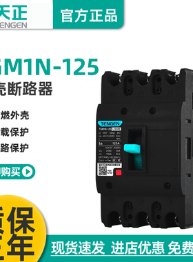 TENGEN天正电气TGM1N-125L/3300 125A塑壳断路器3P 4P 80A 100A