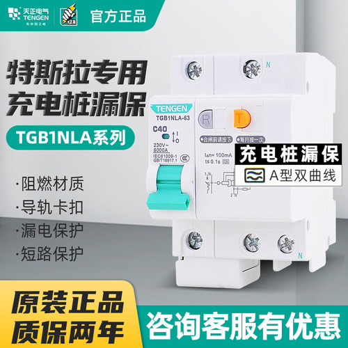 特斯拉A型天正充电桩专用漏保