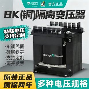 天正BK单相隔离变压器380V220V变220电器设备维修防触电隔离电源