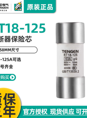 TENGEN天正 RT18-125熔断器RT14-63保险丝A RT19 RO17熔芯22*58MM