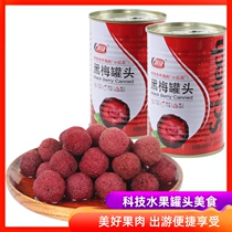 科技黑梅罐头糖水杨梅罐头 425克x5罐 蛋糕烘焙水果罐头 休闲零食