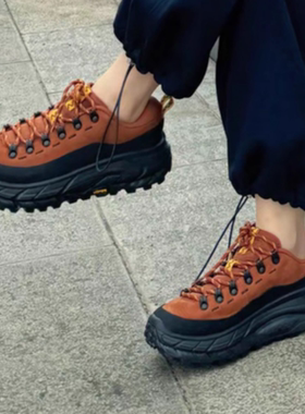 HOKA ONE ONE Tor Summit 耐磨低帮徒步鞋 黑棕色 1147952-HBCK