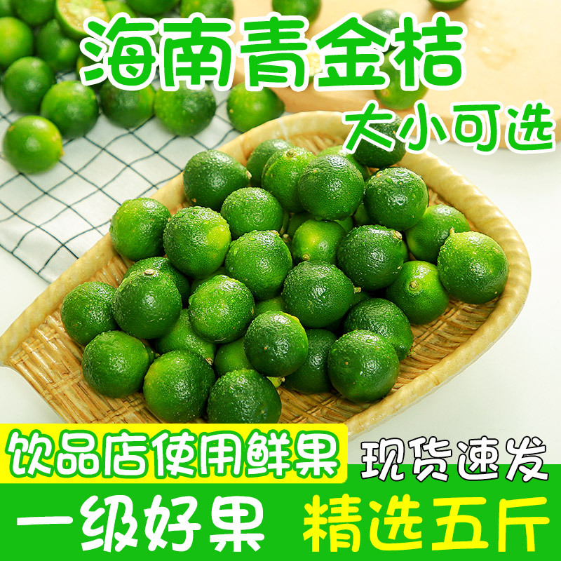 海南青金桔新鲜果子小柠檬桔子大中小5斤饮品奶茶店原料整箱包邮
