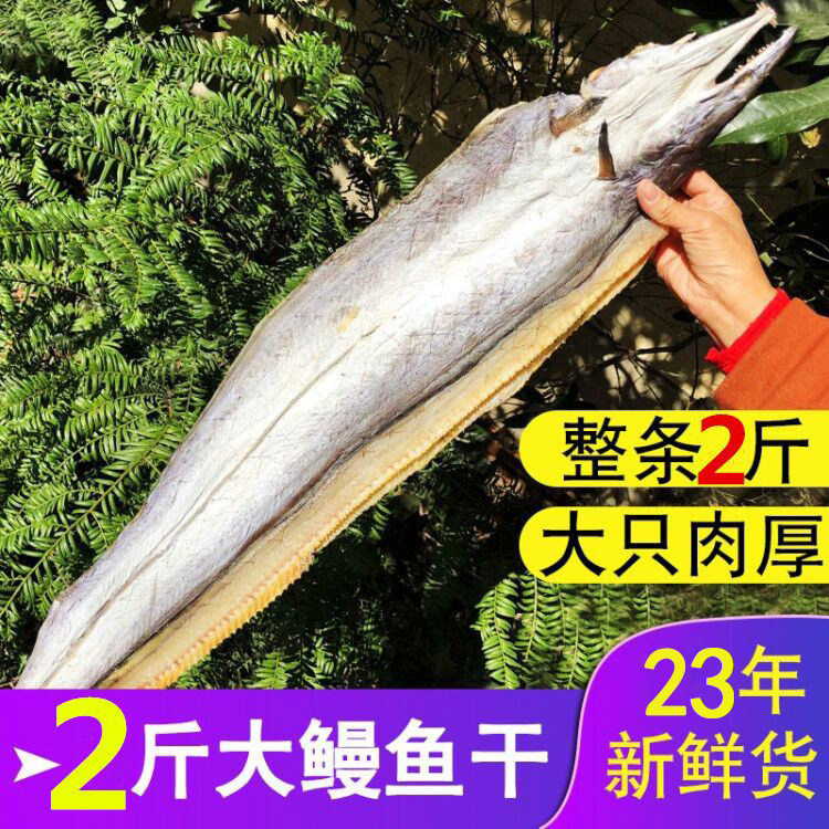 2斤大鳗鱼干 1000g/一整条 风海鳗干鳗鲡鳗鱼鲞咸鱼干 海鲜干货