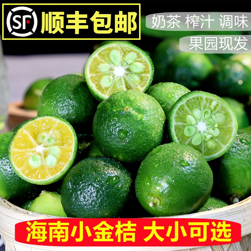 【顺丰包邮】新鲜海南青金桔小金桔柠檬奶茶店专用小青柠整件免邮