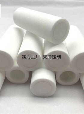 定制电厂汽水取样TZ216A PE烧结滤芯PP2130低压过滤器GN03E HP03E