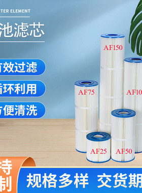 船舶滤芯AFCF爱克Juzzi爵仕意万仕EMUAX纸芯缸过滤器游泳池滤芯水