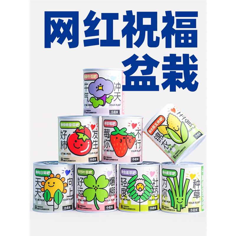 办公室绿植小盆栽神奇物内