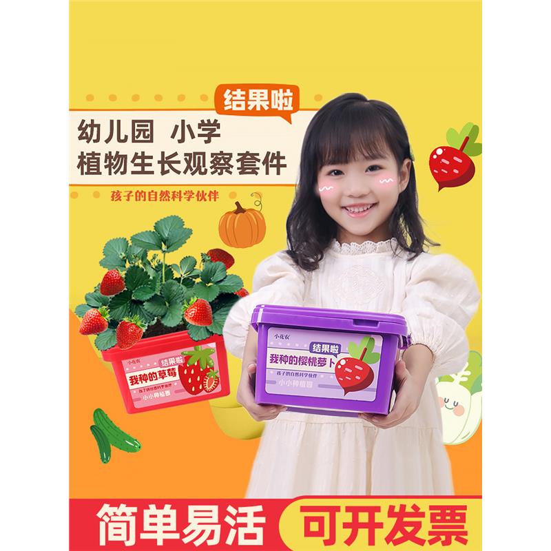 儿童种植小盆栽科学观察水果草莓向日葵种籽子小花农植物盲盒套装