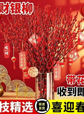 七彩银柳真花红色鲜枝年宵花卉福桶银柳耐寒植物干花室内装饰花束
