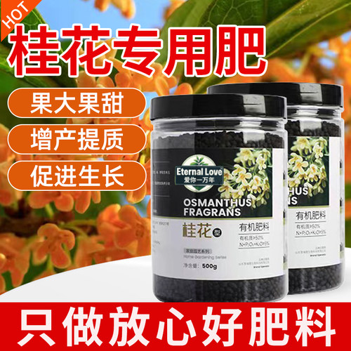 桂花树专用肥料养护营液家