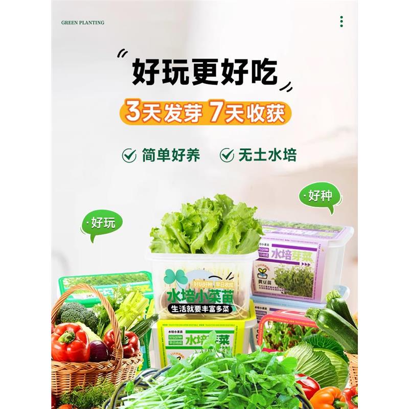 小学生水培蔬菜种植盒儿童