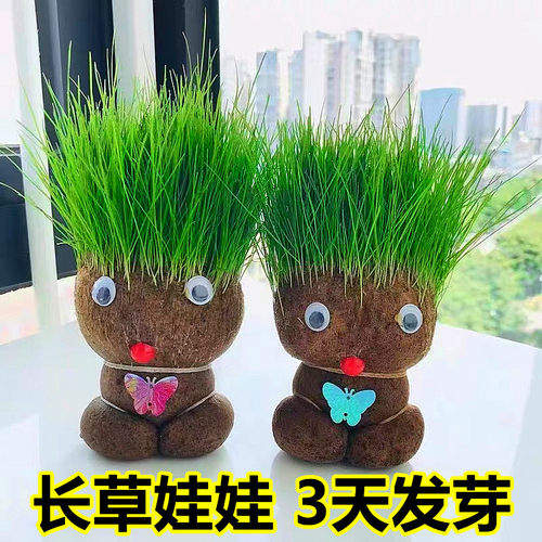 长草娃头儿童种植小盆栽上