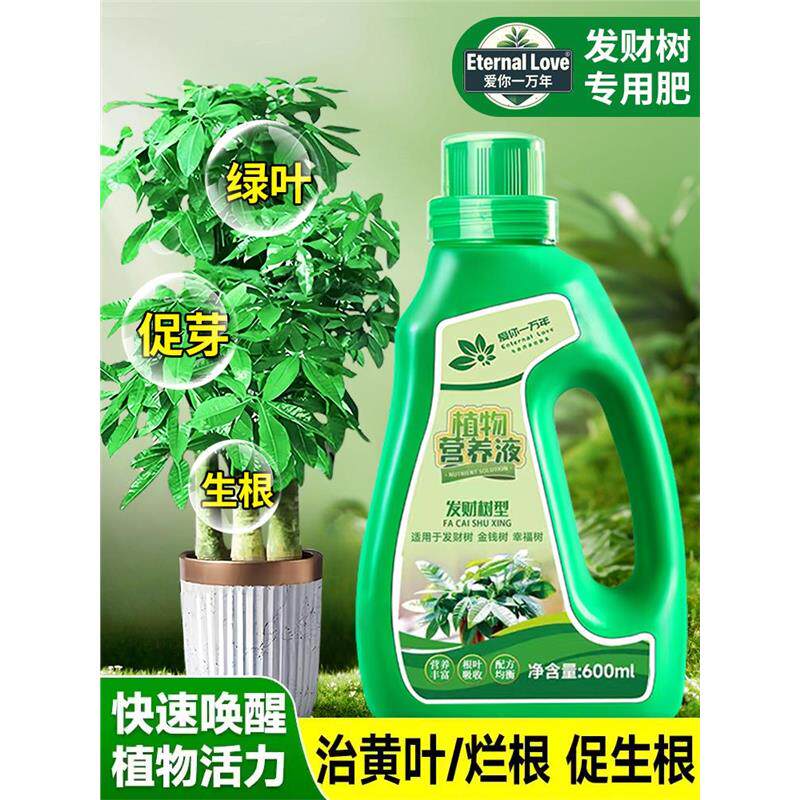 发财树营养液肥料专用肥专治烂根掉叶黄叶室内盆栽绿植物花肥通用