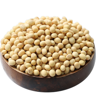 【斤数齐全】老品种黄豆椭圆形黄豆笨黄豆土黄豆炖肉卤煮豆浆食材