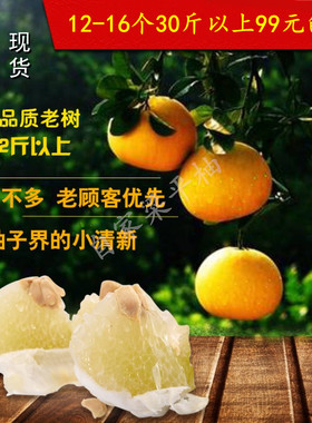 重庆特产正宗梁平柚子梁山柚50年老树农家柚子龙滩柚当季水果包邮